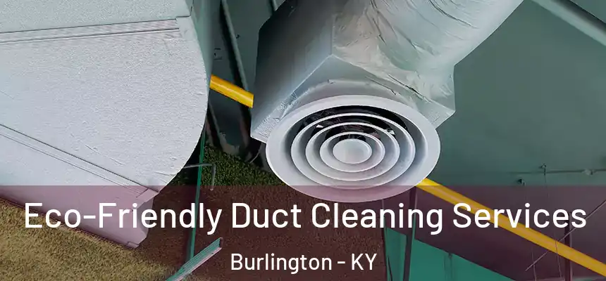  Eco-Friendly Duct Cleaning Services Burlington - KY