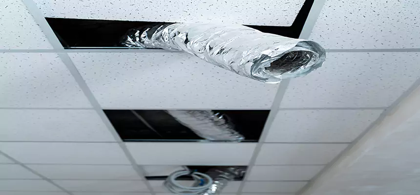 Our Air Duct Pet Hair Removal Services in Burlington, KY