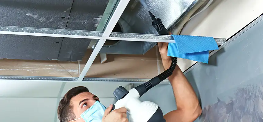 Our Air Duct Rodent Removal Services in Burlington, KY