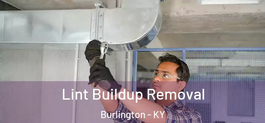  Lint Buildup Removal Burlington - KY