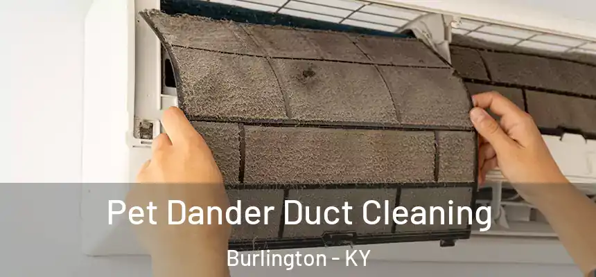  Pet Dander Duct Cleaning Burlington - KY