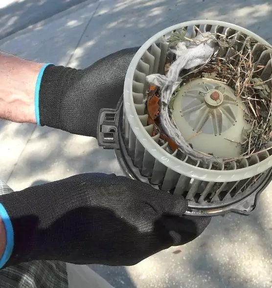 About Air Duct Rat Removal in Burlington, KY