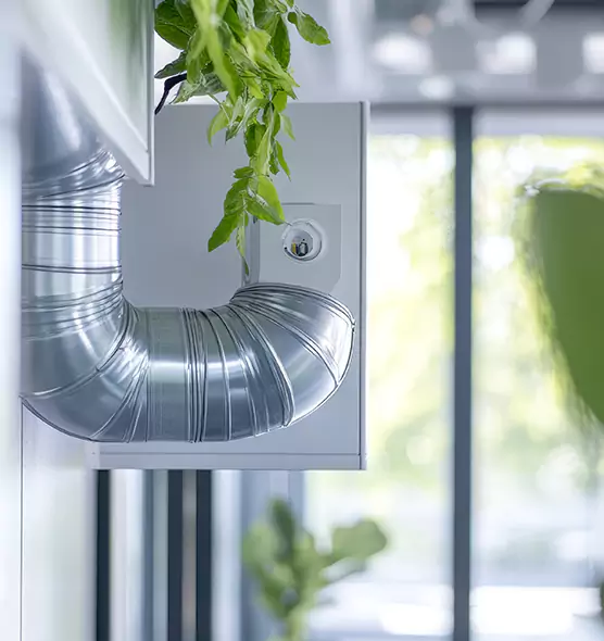 Professional Eco-Friendly Duct Cleaning Services in Burlington, KY