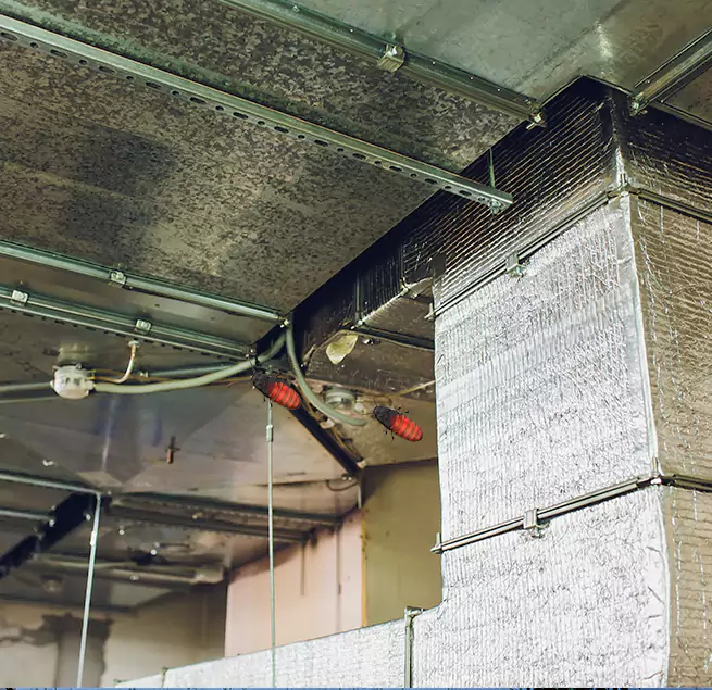 Why Homeowners & Businesses Trust Us in Burlington, KY?