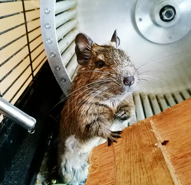 Why Homeowners & Businesses Trust Us Burlington, KY?