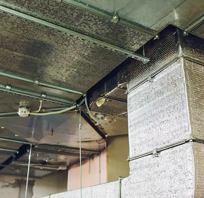 Why Homeowners & Businesses Trust Us in Burlington, KY?